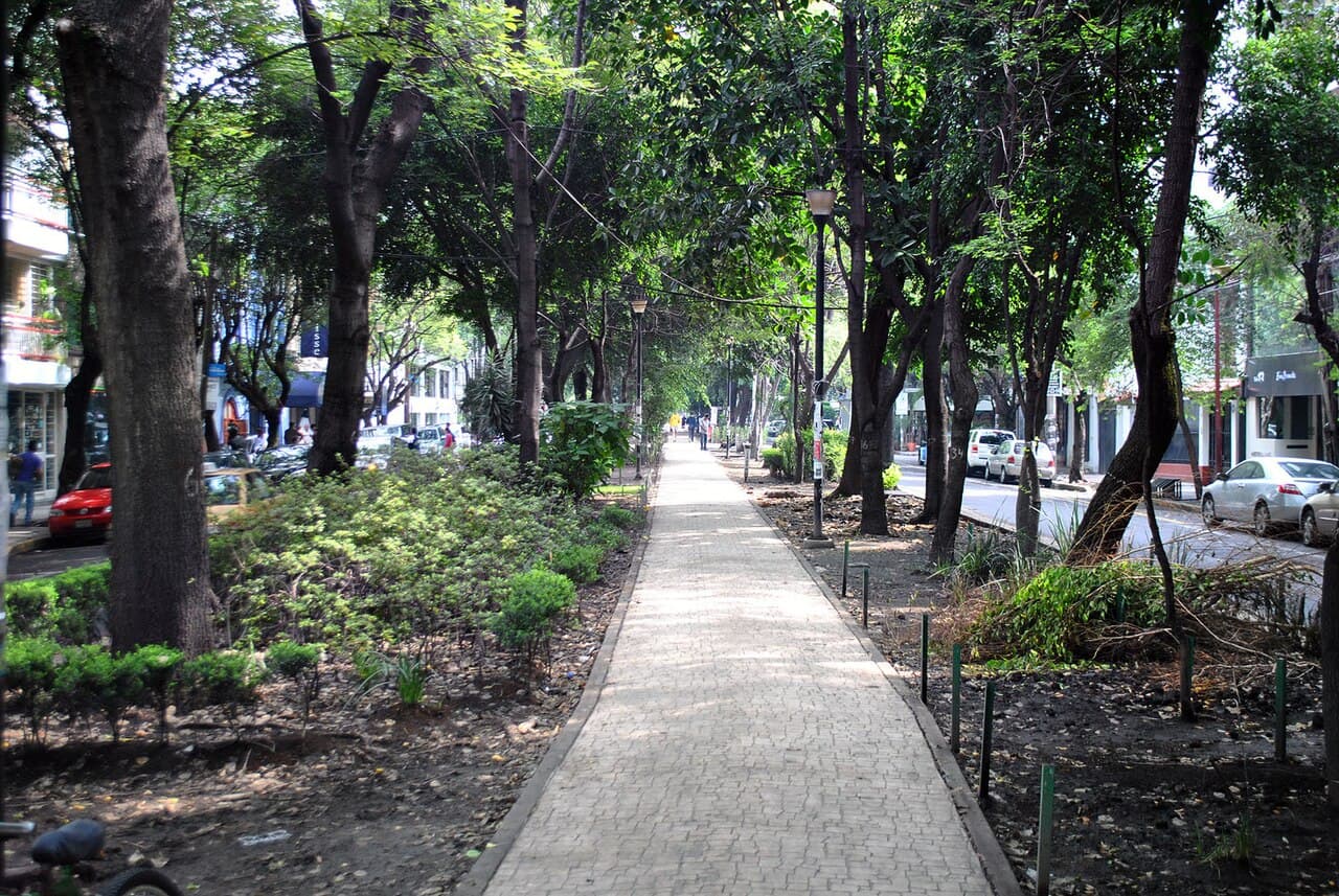 Tree-lined pedestrian median on Avenida Ámsterdam in La Condesa, Mexico City