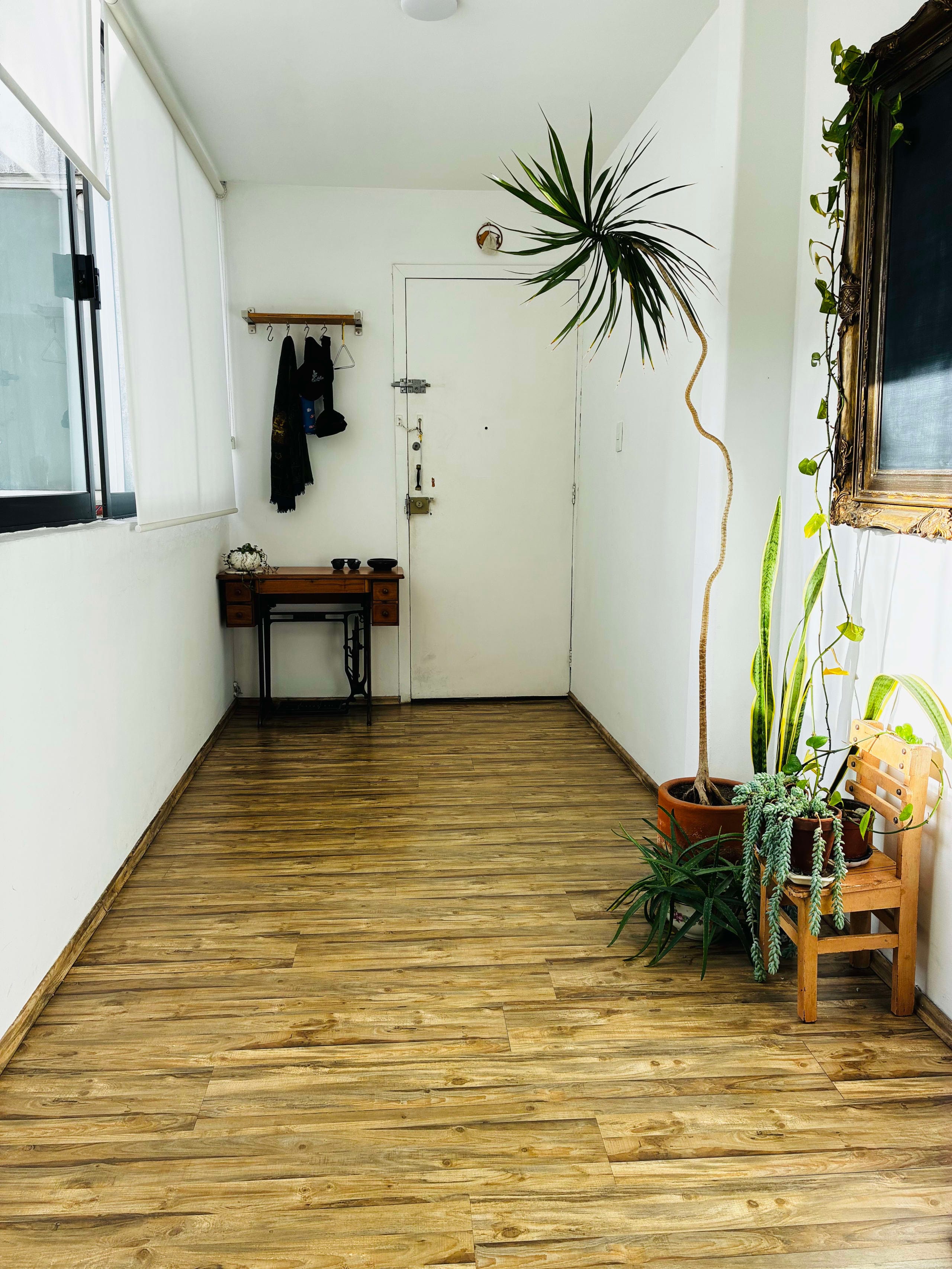Bright 2BR + Home Office in Quiet Roma Sur | Utilities Included — photo 1