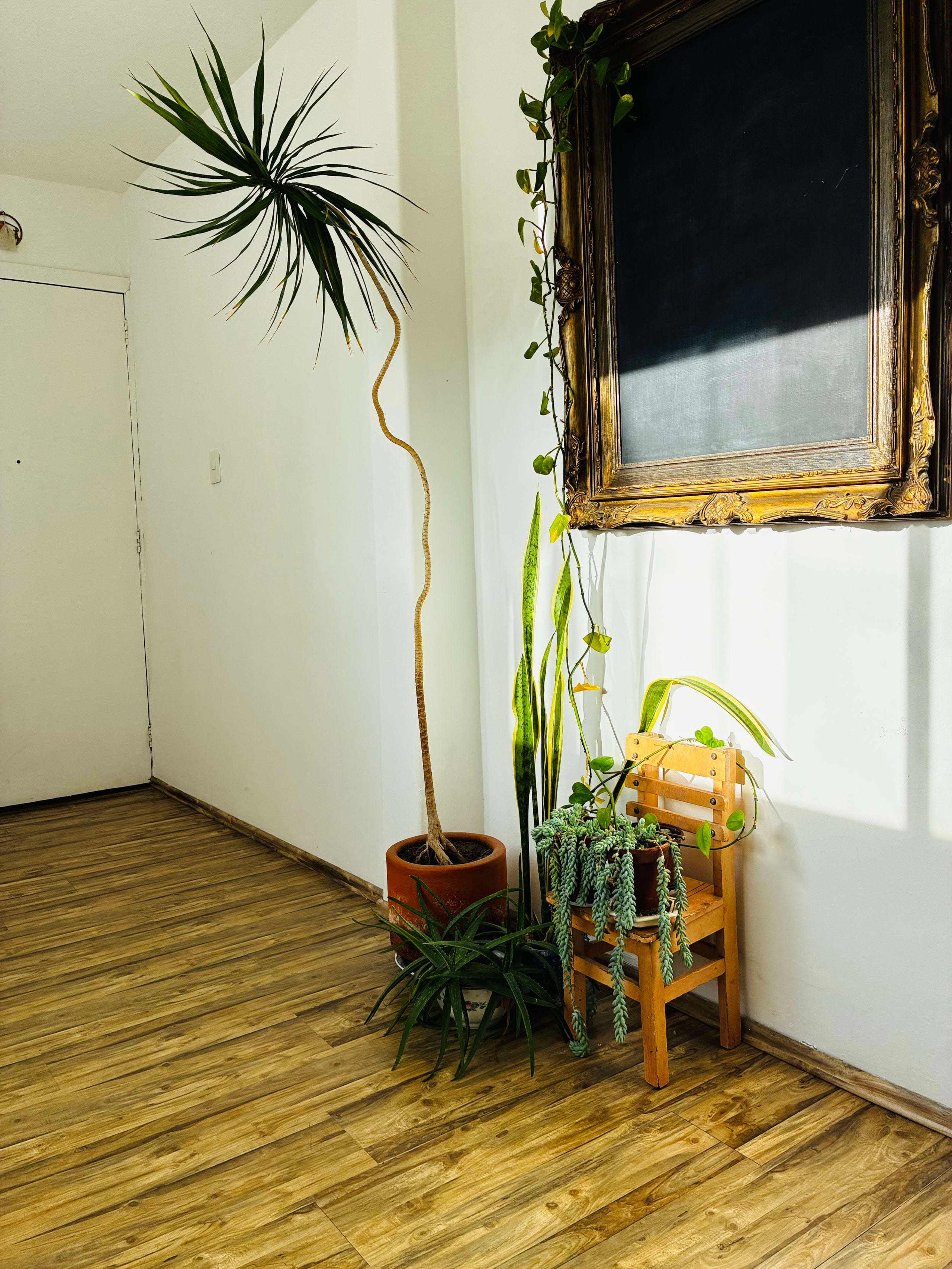 Bright 2BR + Home Office in Quiet Roma Sur | Utilities Included — photo 2